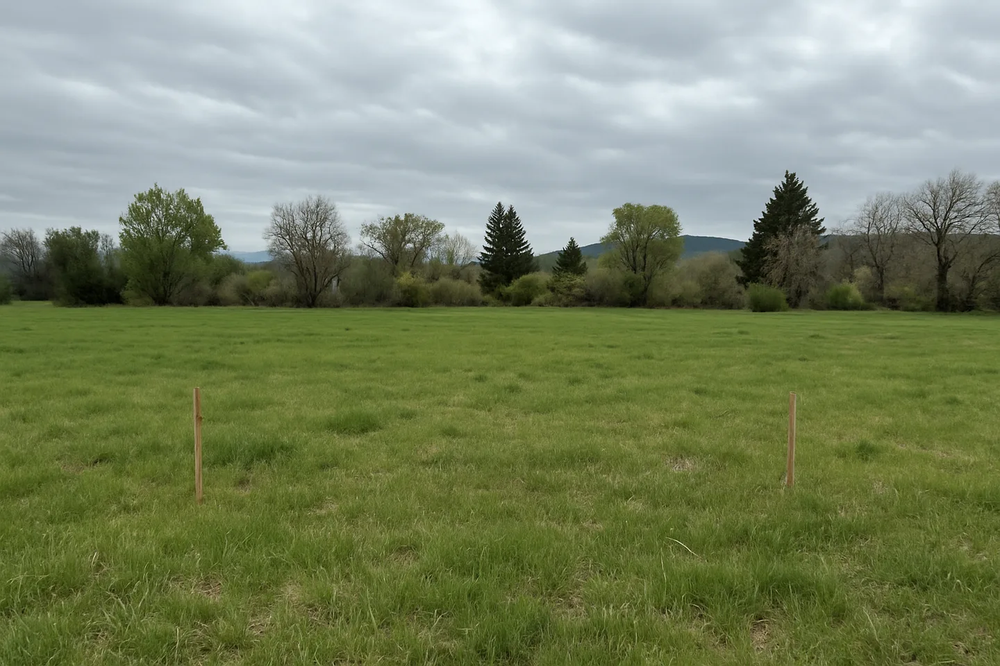 Vacant land parcel for sale in Carson City, Nevada