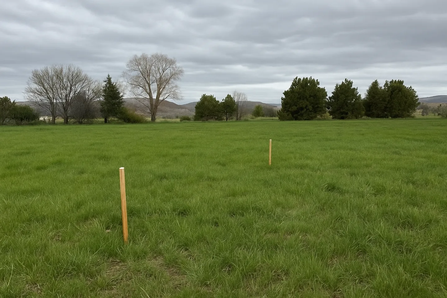 Vacant land parcel for sale in Elko, Nevada