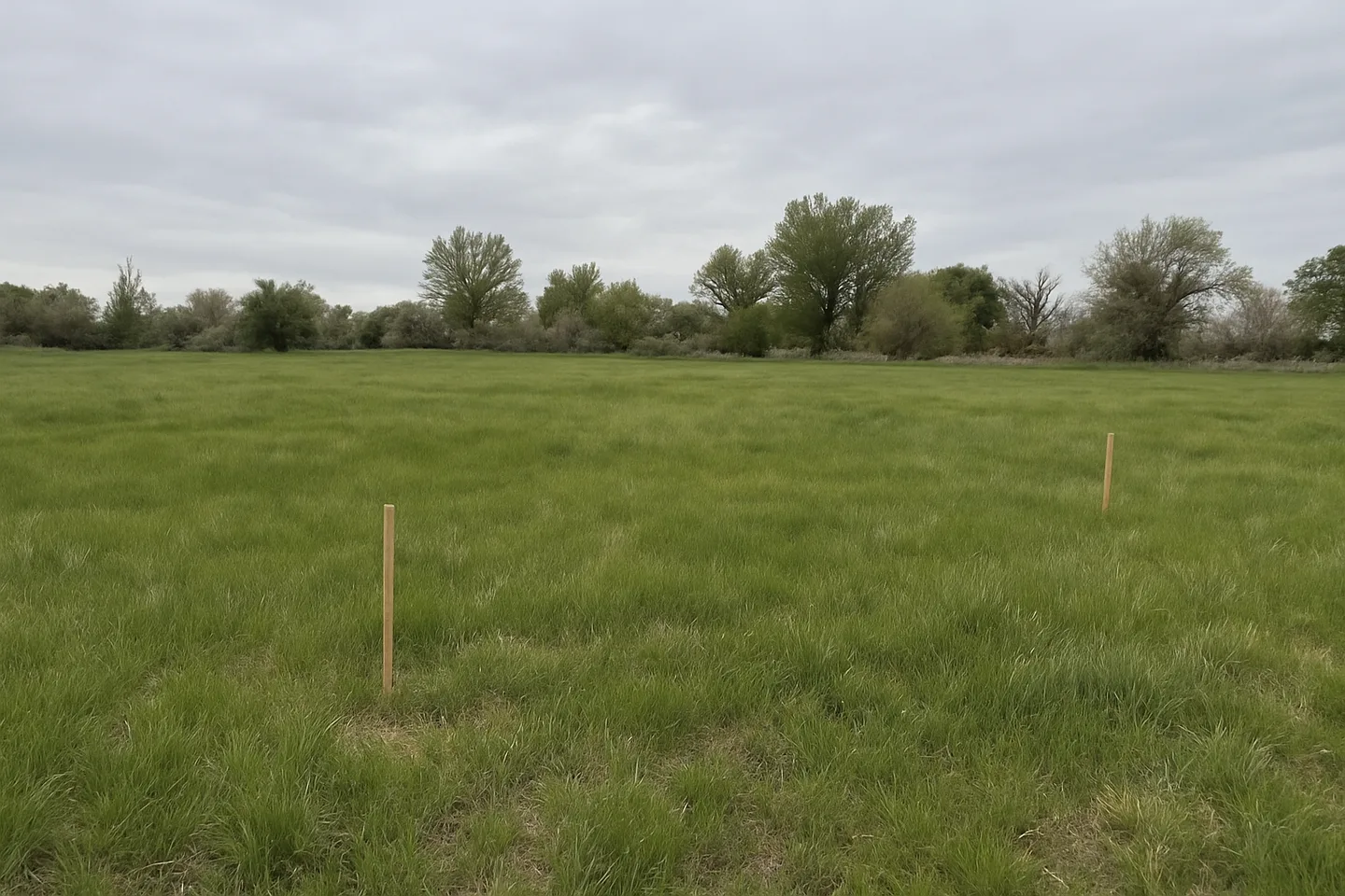 Vacant land parcel for sale in Fallon, Nevada