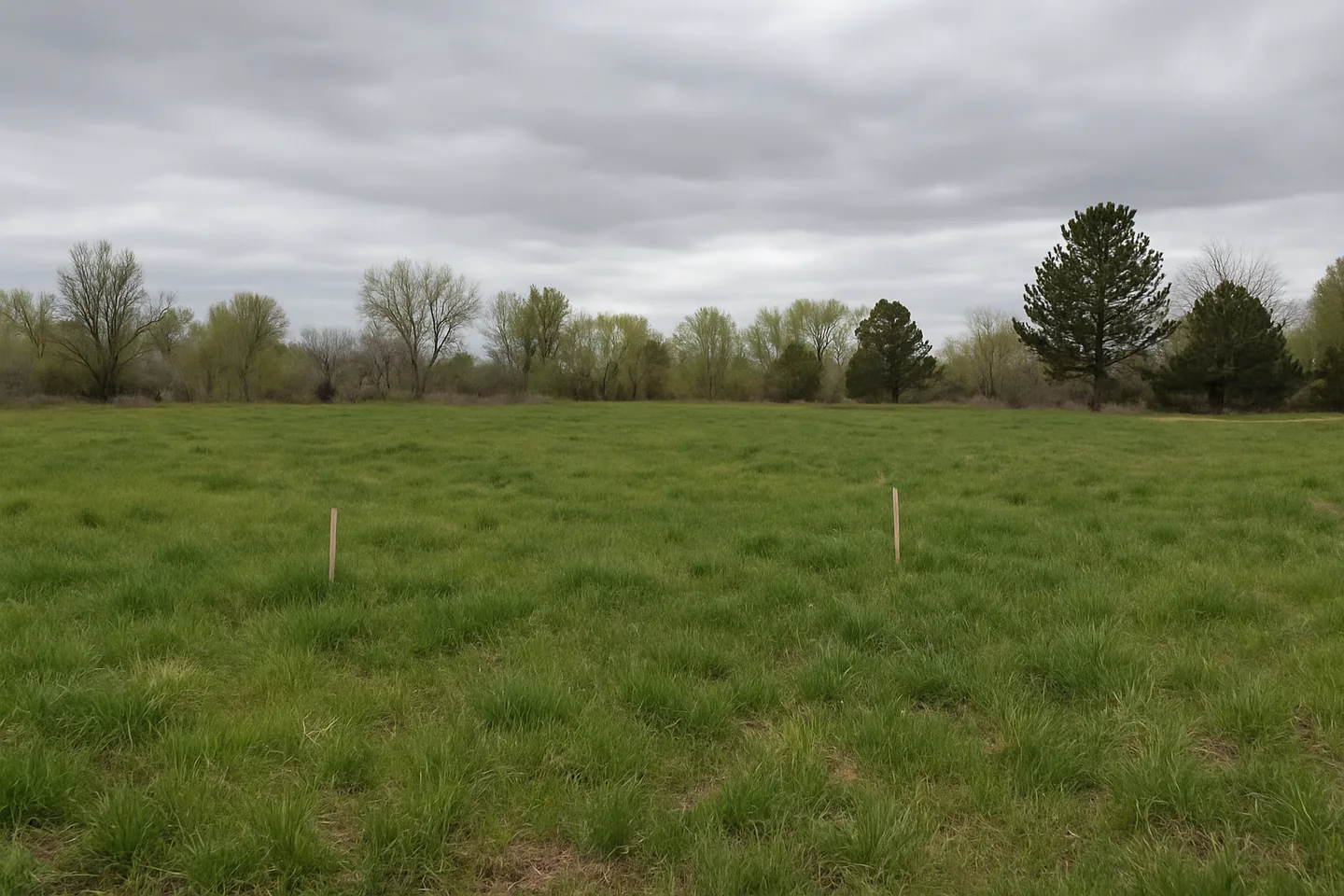 Vacant land parcel for sale in Washoe County, Nevada